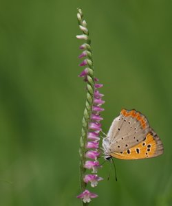 b0108186_1537284.jpg