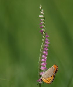 b0108186_15375168.jpg