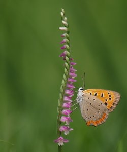 b0108186_15404528.jpg
