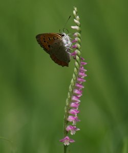 b0108186_15411982.jpg