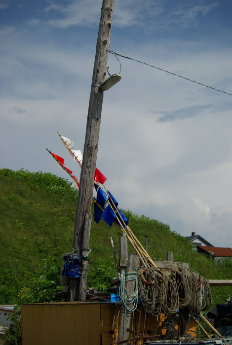 e0051186_20233016.jpg