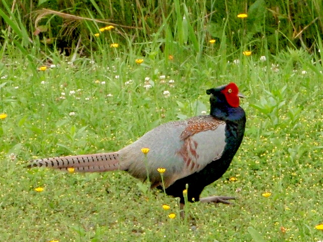 a0007388_9585958.jpg