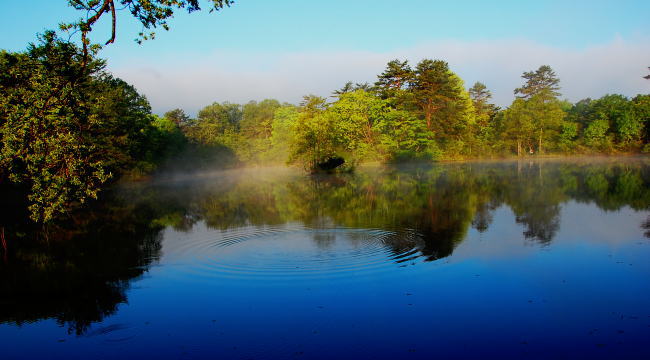 d0014690_0112296.jpg