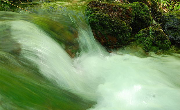 d0014690_0141816.jpg