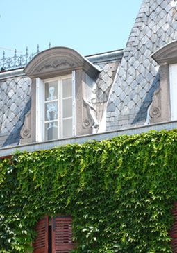 b0107891_226181.jpg