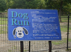 f0222692_9414444.jpg