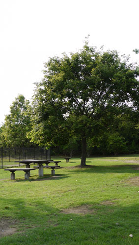 f0222692_941833.jpg
