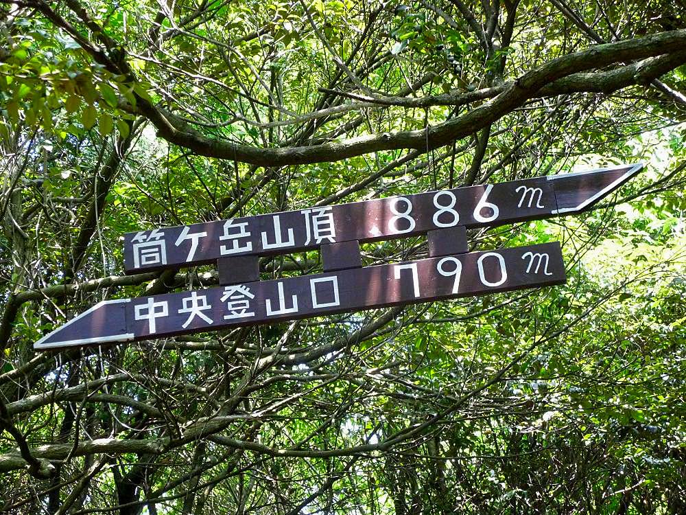 b0177493_17215168.jpg