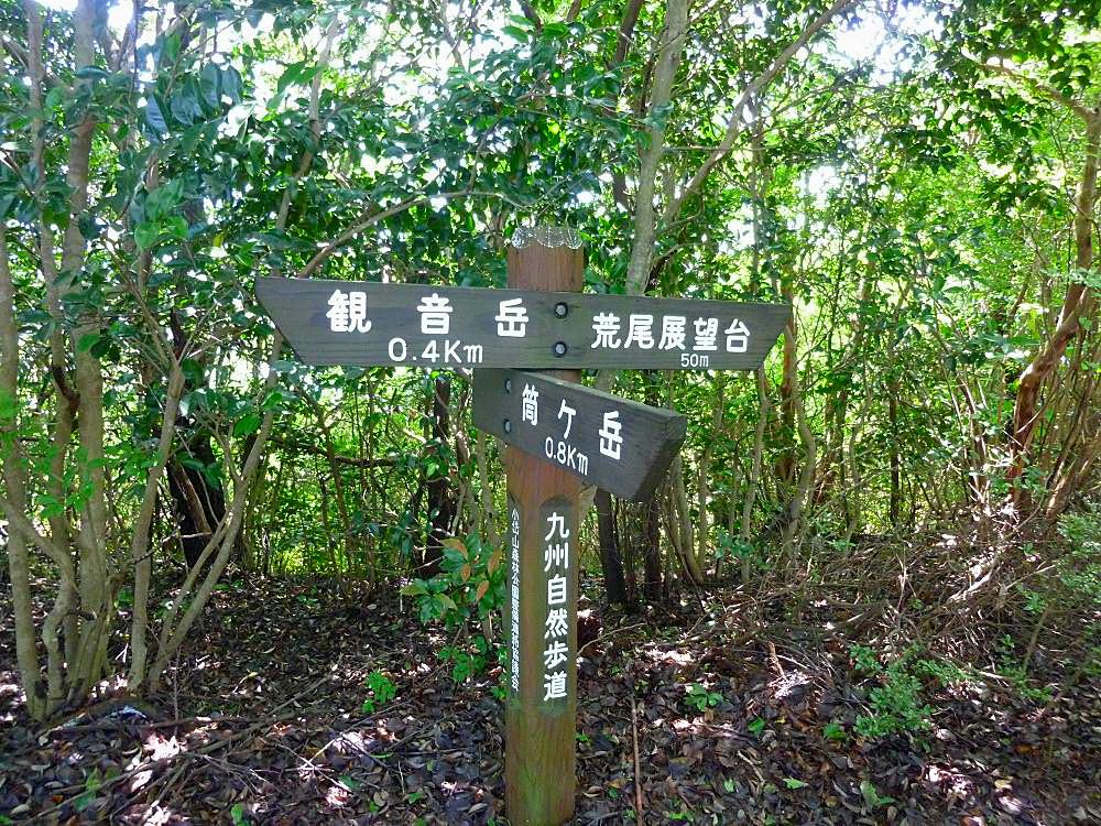 b0177493_17234182.jpg