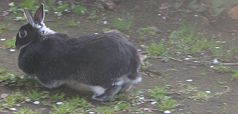 f0224393_19401329.jpg