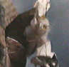 d0179397_14114356.jpg