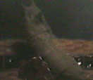 d0179397_17403033.jpg