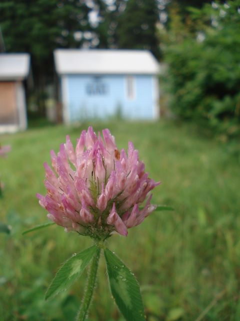 a0061599_7284219.jpg