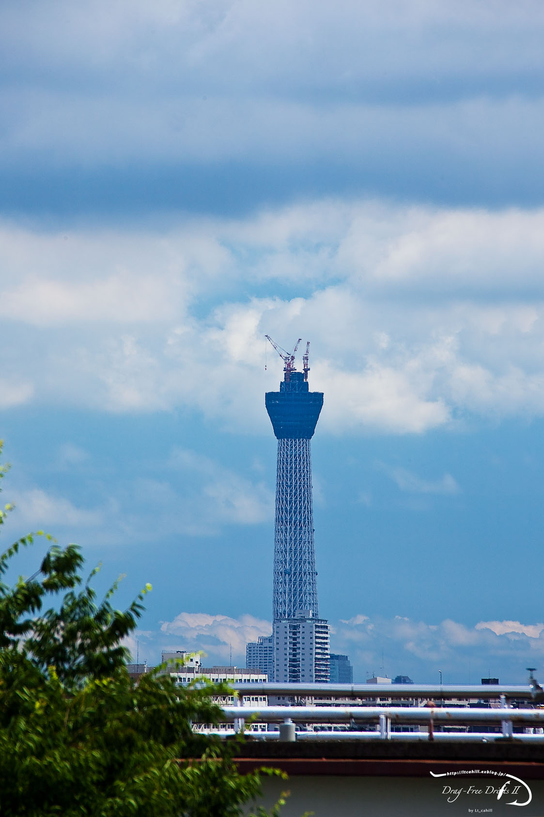 f0085599_1333835.jpg