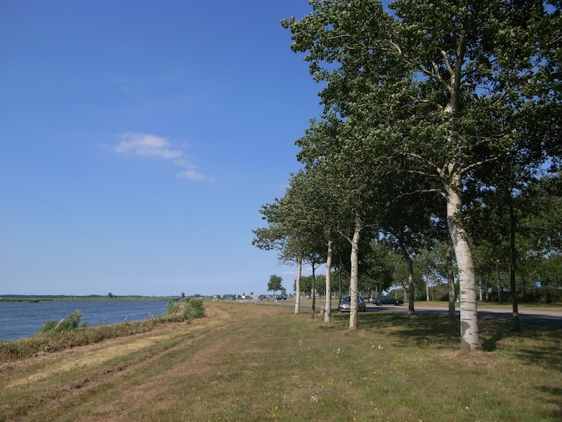 f0108399_23352823.jpg
