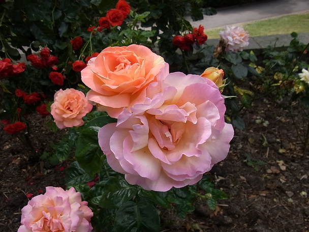 f0229399_23211234.jpg