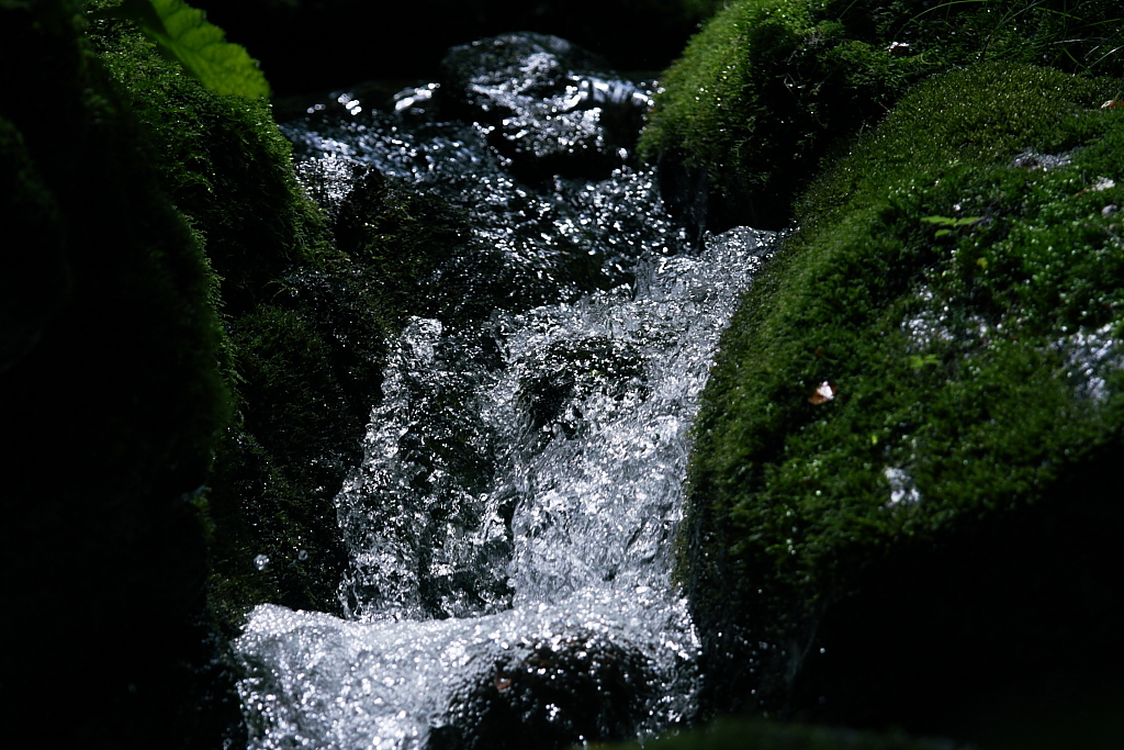 b0116600_0142696.jpg