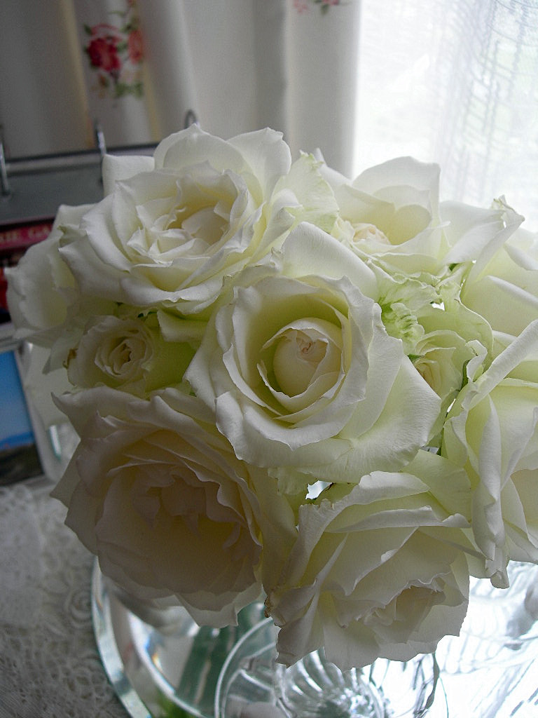 c0220700_816751.jpg