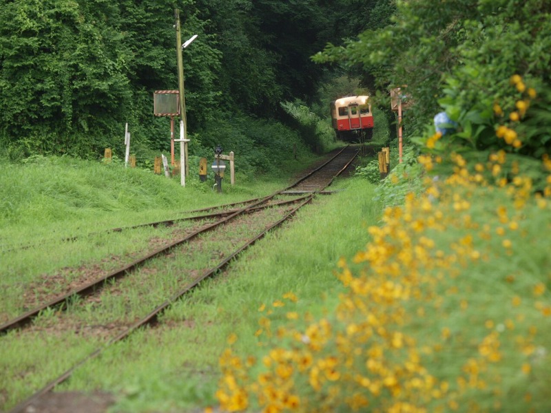 f0224100_2116363.jpg