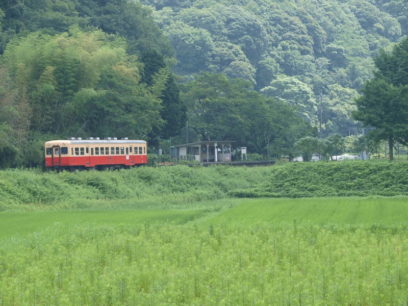 f0224100_21245821.jpg