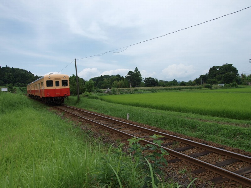 f0224100_21345921.jpg