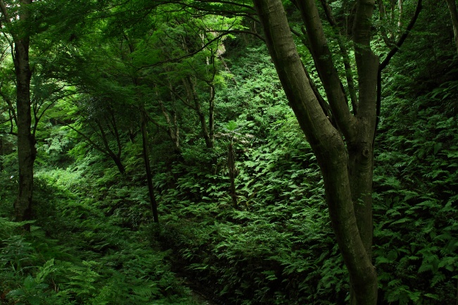 b0182104_22325657.jpg