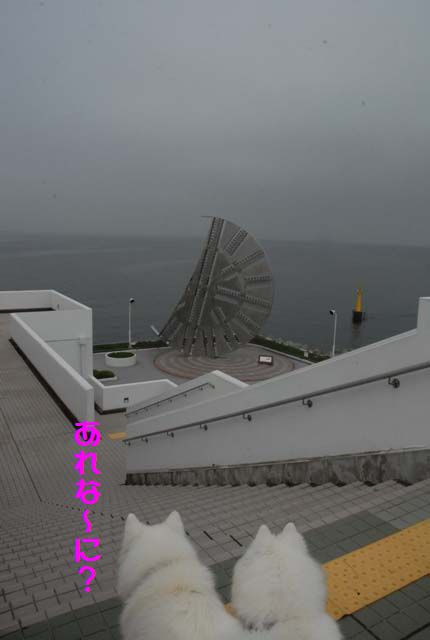 e0018604_1932887.jpg