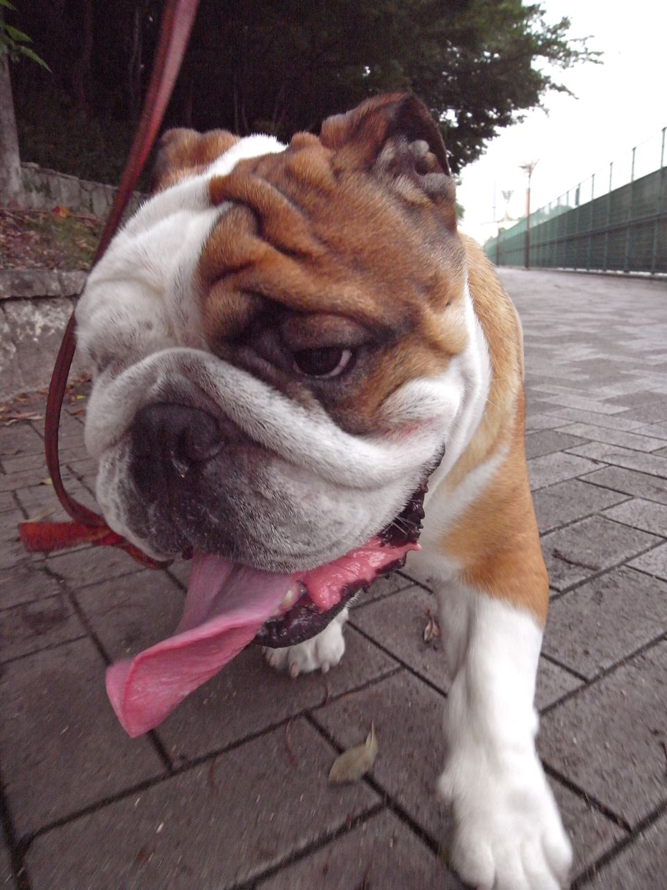 e0129107_2012939.jpg
