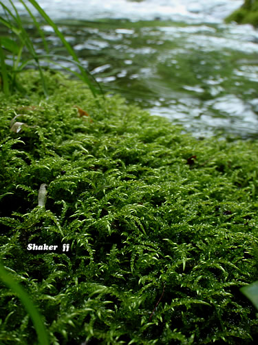 f0021008_11553556.jpg
