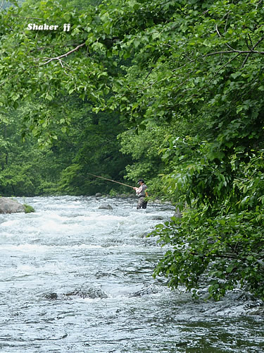 f0021008_11562350.jpg