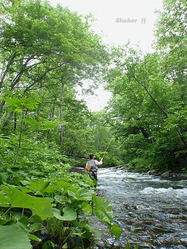 f0021008_11563292.jpg