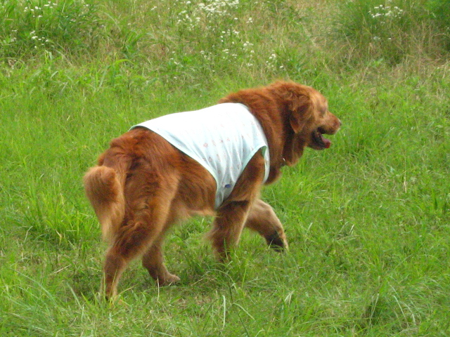 d0150309_20582639.jpg