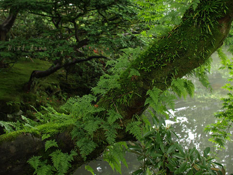 a0021110_1822327.jpg