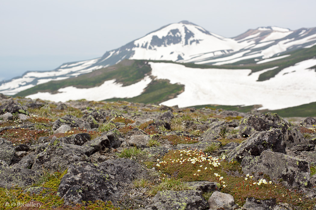 c0073613_2131289.jpg