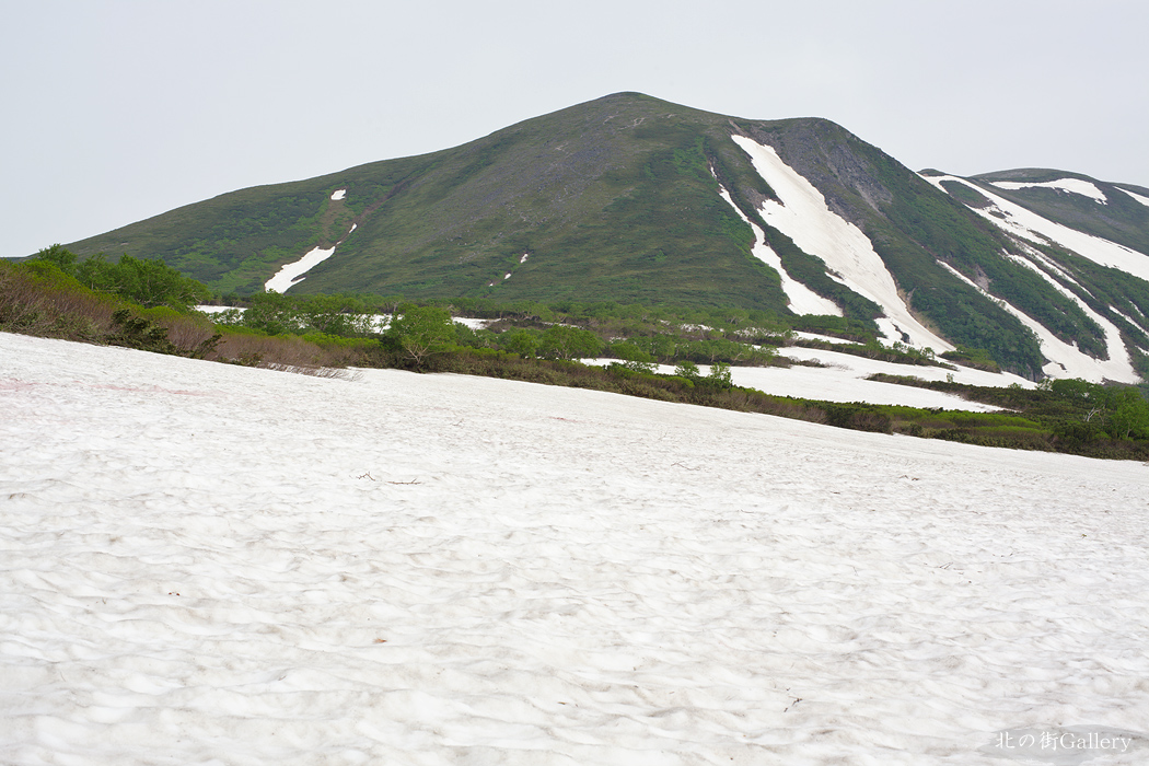 c0073613_2132861.jpg