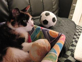 c0201113_21475233.jpg