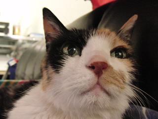 c0201113_21571427.jpg