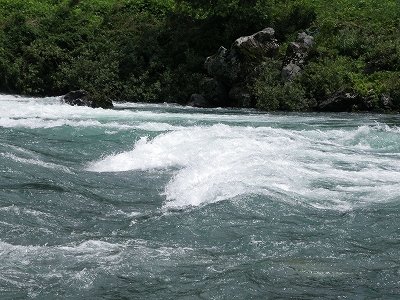 a0059315_11355814.jpg