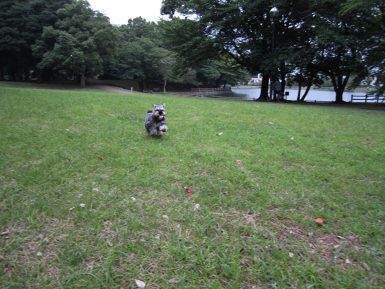 c0219815_2224175.jpg
