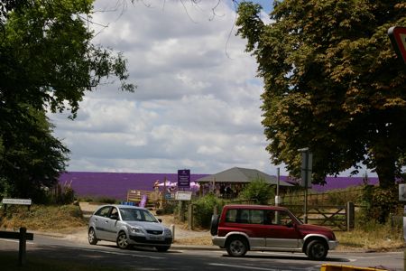 e0114020_171057.jpg