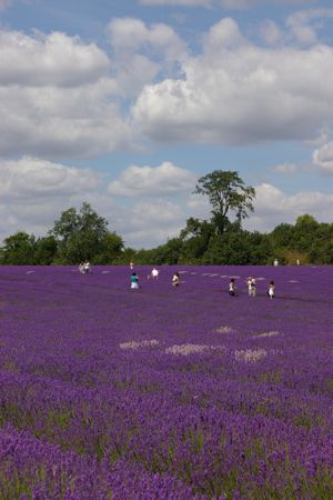 e0114020_17142711.jpg
