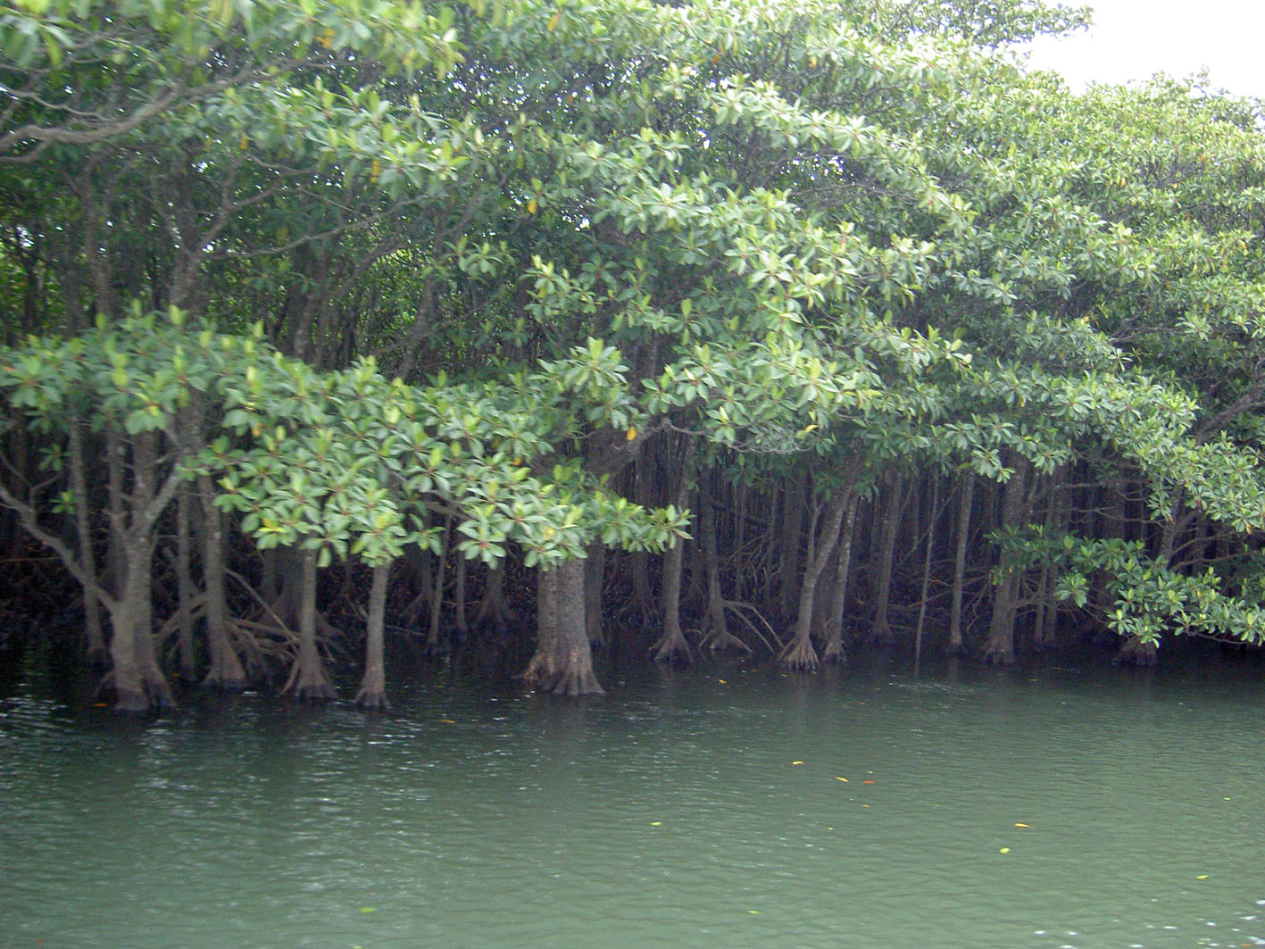 a0114622_020566.jpg