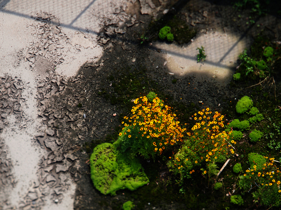 c0180824_8482644.jpg