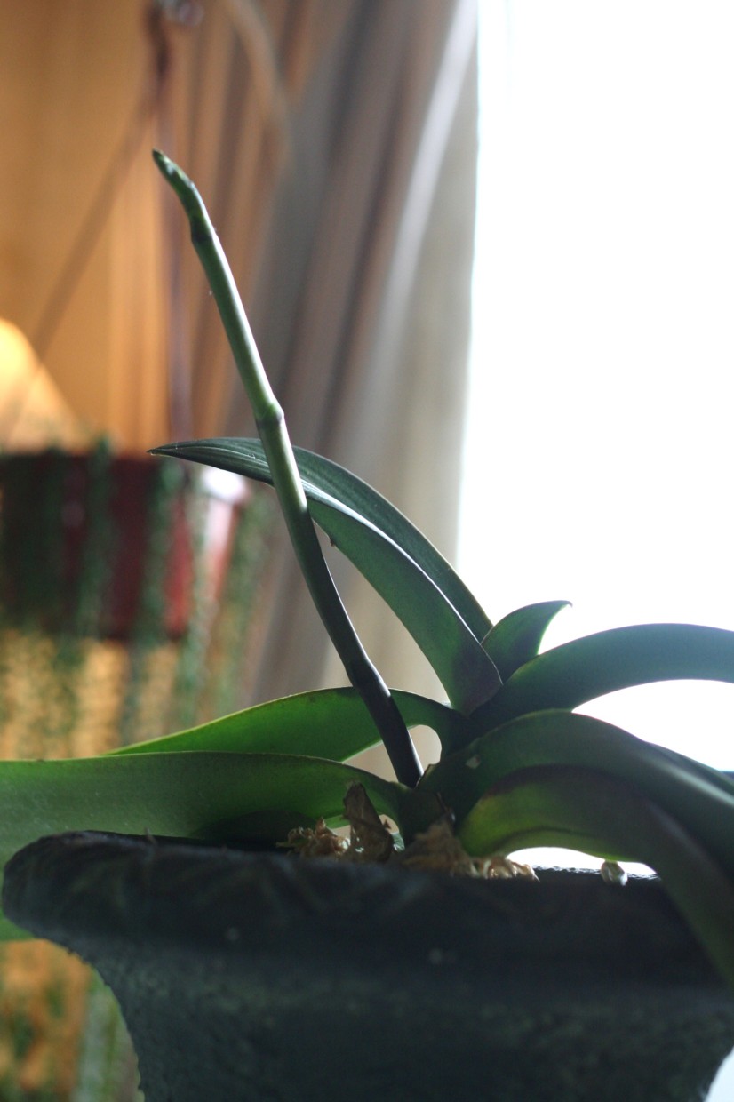 b0093830_056119.jpg