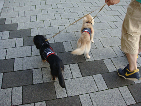 c0117831_2034365.jpg
