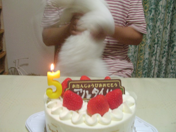 f0002833_17333423.jpg