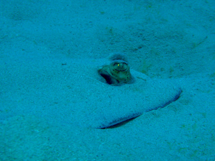 f0014842_18243634.jpg