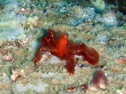 f0014842_18244618.jpg