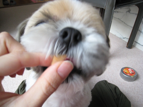 c0043751_0521389.jpg