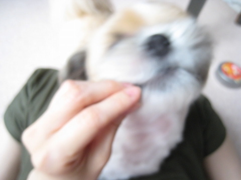 c0043751_052556.jpg